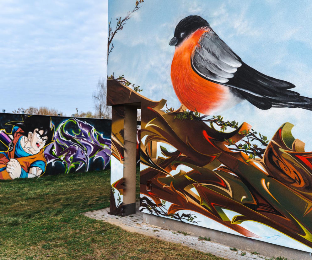 Przy ul. Mieszka I w Siedlcach można podziwiać całą galerię murali i graffiti