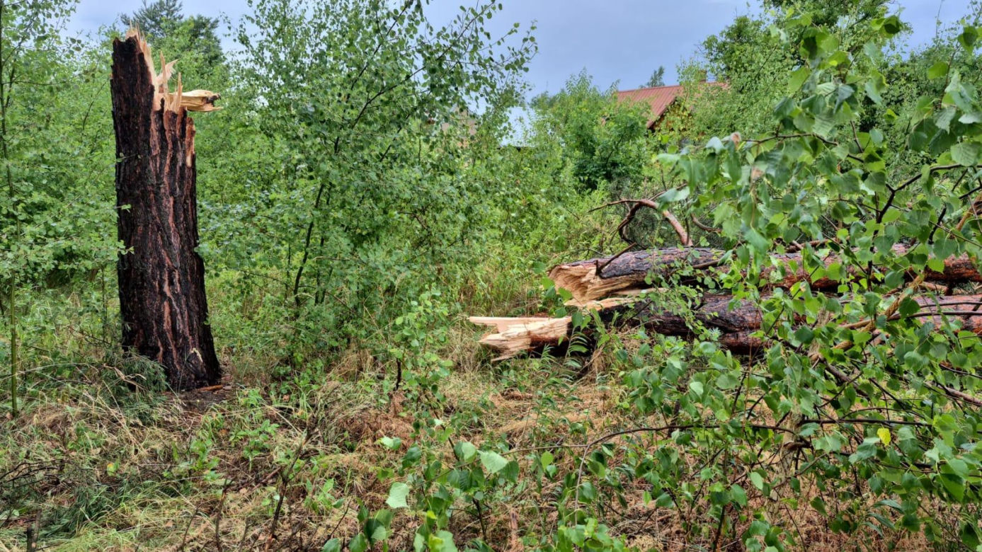 Skutki nawałnic w powiatach brzeskim i tarnowskim z 7 lipca 2025 roku