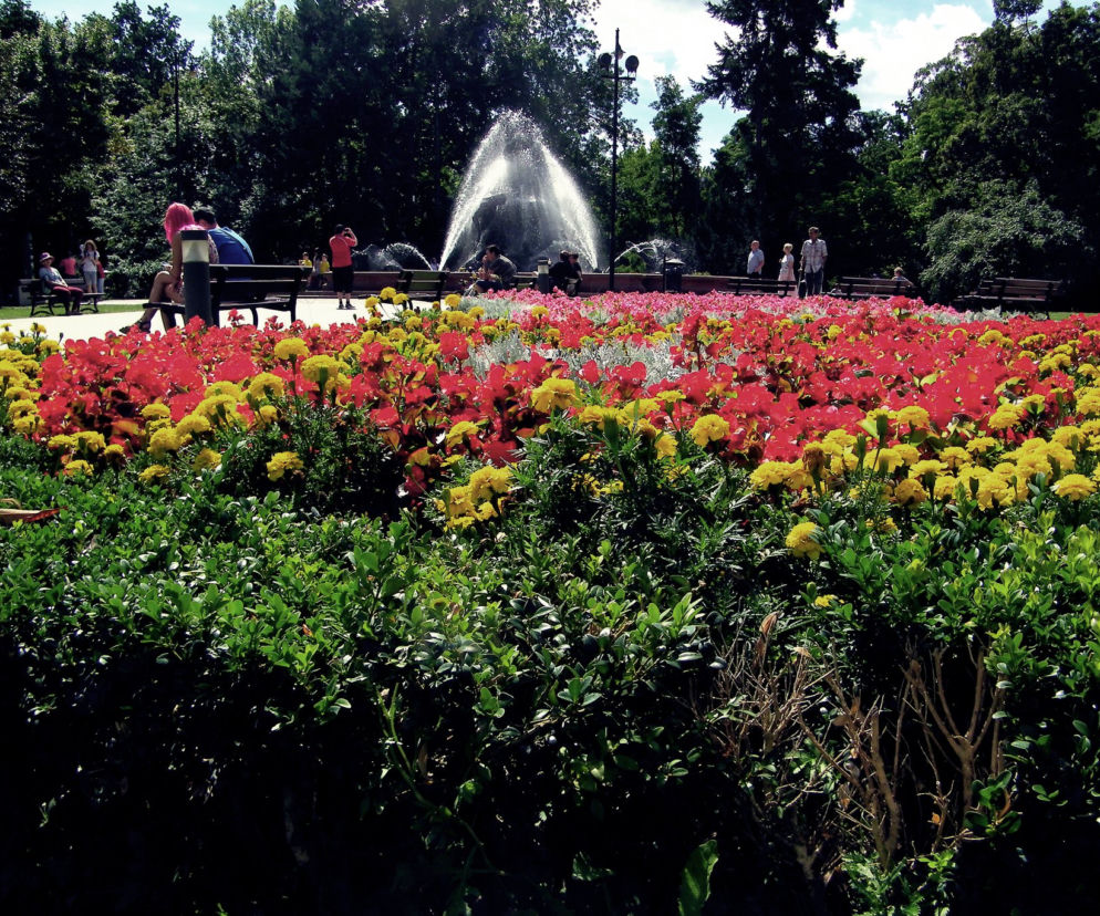 Park Kazimierza Wielkiego w Bydgoszczy [ZDJĘCIE DNIA]