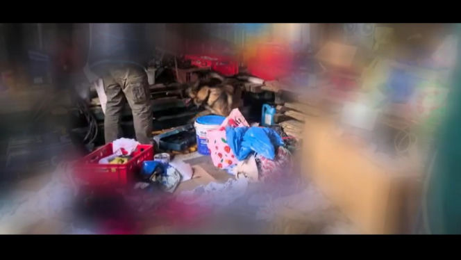 Szron wywęszył narkotyki