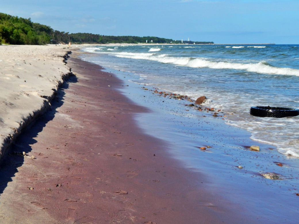 Fioletowy piasek nad Bałtykiem 
