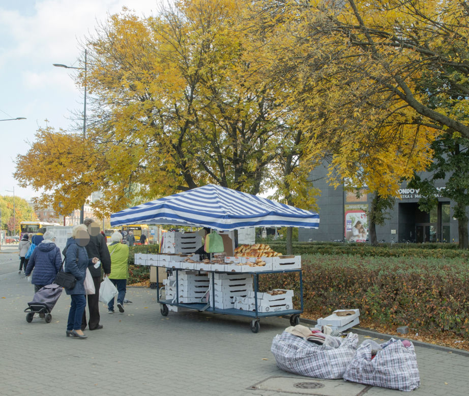 Inwazja szczurów na Wiatraku