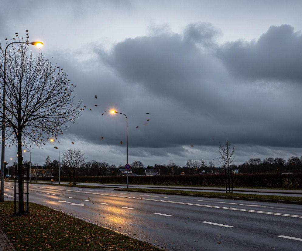 Na pierwszym planie, po lewej stronie, widać chodnik z kostki brukowej, pokryty porozrzucanymi suchymi liśćmi, a obok niego trawnik z młodymi drzewami w metalowych osłonach. Dalej znajduje się dwupasmowa jezdnia z mokrym asfaltem, na którym odbija się światło latarni ulicznych i reflektorów samochodów, tworząc pomarańczowe smugi. Nad jezdnią, po obu stronach, rozmieszczone są latarnie uliczne, emitujące ciepłe, żółte światło, a jedna z nich znajduje się bezpośrednio nad drzewem z nielicznymi, ciemnymi liśćmi, częściowo ukrytymi w jego koronie. W tle widoczny jest długi, ciemny żywopłot, za którym rysują się zarysy budynków i drzew pozbawionych liści, wszystko pod ciężkim, szaro-granatowym niebem, pokrytym kłębiastymi chmurami.