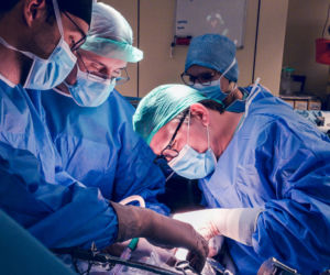 Lekarze WUM usunęli guza z wątroby poza ciałem. Pierwsza taka operacja w Polsce