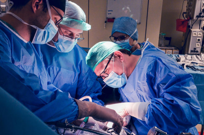 Lekarze WUM usunęli guza z wątroby poza ciałem. Pierwsza taka operacja w Polsce