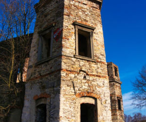 Ruiny Pałacu w Podzamczu Piekoszowskim