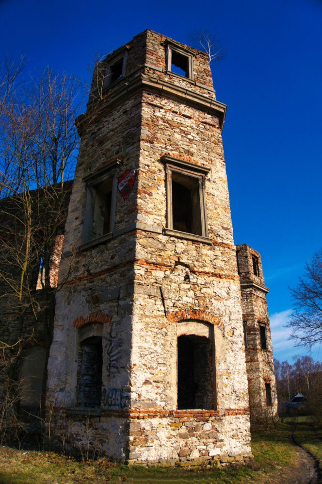 Ruiny Pałacu w Podzamczu Piekoszowskim