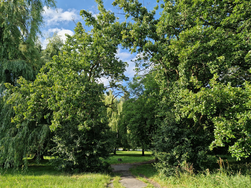 Park Centralny przed wielką zmianą! Zobacz, gdzie powstanie kąpielisko