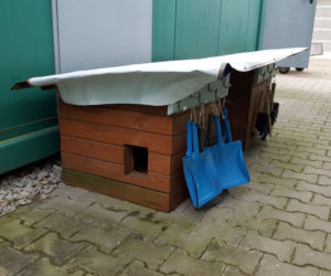 Kto pokocha podopiecznych schroniska w Henrykowie pod Lesznem