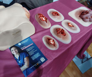 18. Siedleckie Targi Edukacyjne 2026 zgromadziły setki zwiedzających!