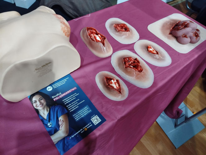 18. Siedleckie Targi Edukacyjne 2026 zgromadziły setki zwiedzających!