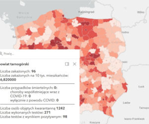 Koronawirus w województwie śląskim. Tak wygląda sytuacja w poszczególnych powiatach [RAPORT, 19 MARCA]