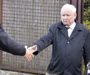 Koty Jarka nas terroryzują