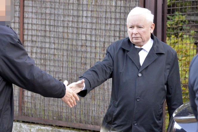 Koty Jarka nas terroryzują