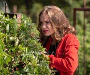 Na Wspólnej odc. 2988. Alina Mińczyk (Magdalena Żak)