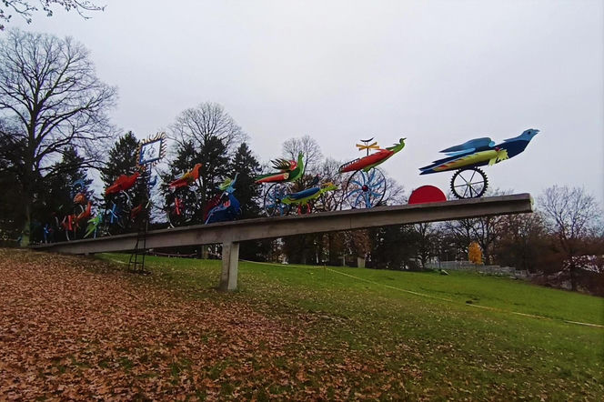 "Ogniste Ptaki" w Parku Kasprowicza w Szczecinie