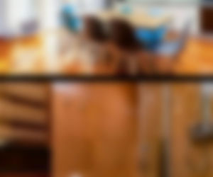 Oszuści oferowali na wynajem fikcyjne domki i apartamenty