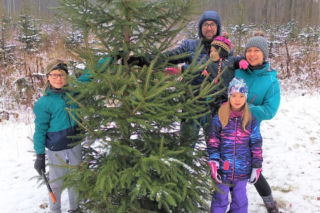 Nie przepłacaj za choinkę. W leśnictwach kupisz ją za grosze na choinkobraniu