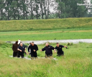 Zbudowali tratwę i wybrali się na rejs po Odrze. Omal nie zginęli. Uratowali ich policjanci [ZDJĘCIA]