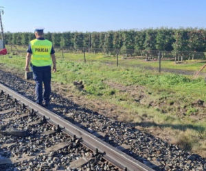 Tragiczne zderzenie pociągu z osobówką pod Wieluniem. Nie żyje 21-latek