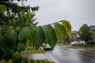 Pogoda na weekend w Toruniu 17-19 kwietnia. Zrobi się cieplej, ale weekend zakończy się deszczem