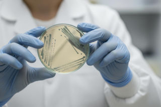 Wyspy Zielonego Przylądka ostrzegają. Jaka groźna choroba zbiera żniwo wśród Europejczyków?