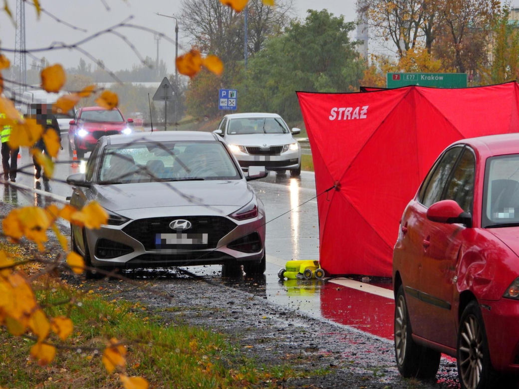 Zwłoki na drodze w Tarczynie. Policja szuka świadków