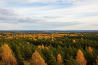 Samochód zatopiony w jeziorze. Co zrobili kierowca i pasażer?