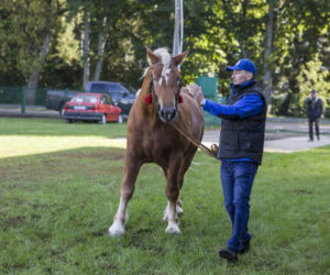 Rolnicy Podlasie. Nowe odcinki. Premiera 3. sezonu 14 marca 2021 [ZDJĘCIA]