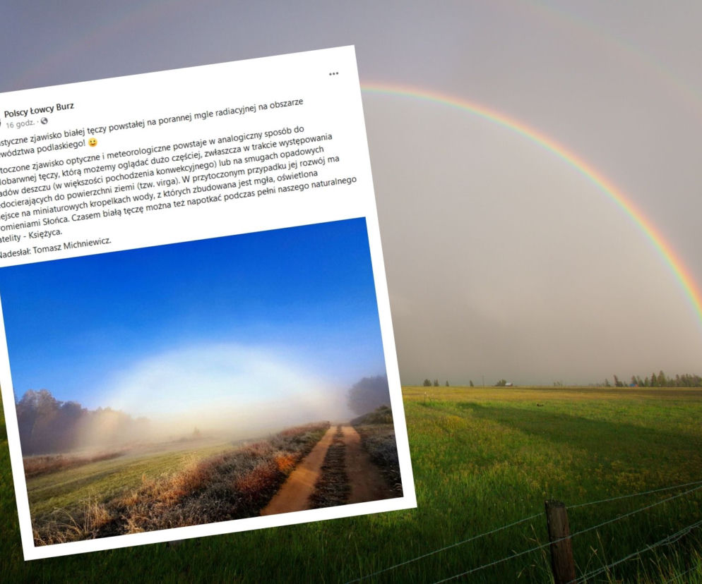 BIAŁA TĘCZA pojawiła się w Podlaskiem! Czym jest to niezwykłe zjawisko? [FOTO]