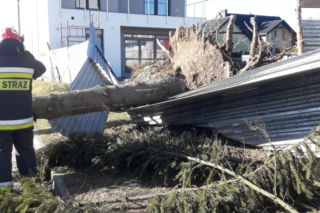 Bez większych strat I zniszczeń po przejściu huraganu orkan w powiecie zamojskim