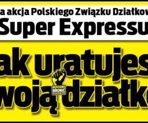Tak uratujesz swoją działkę!