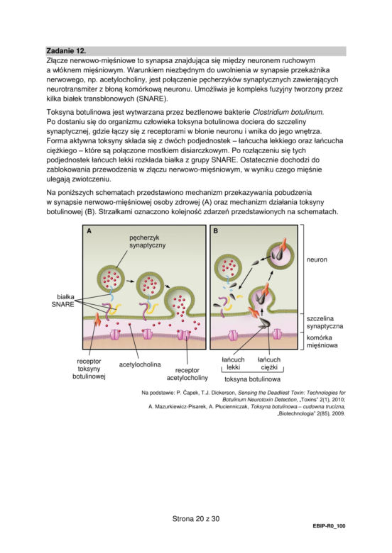 Matura biologia arkusz formuła 2015