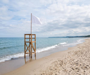 Sinice Sopot. Czy w Sopocie można się kąpać 03.08? Flaga, warunki pogodowe