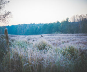 Idealne miejsca na zimowy spacer w Warszawie