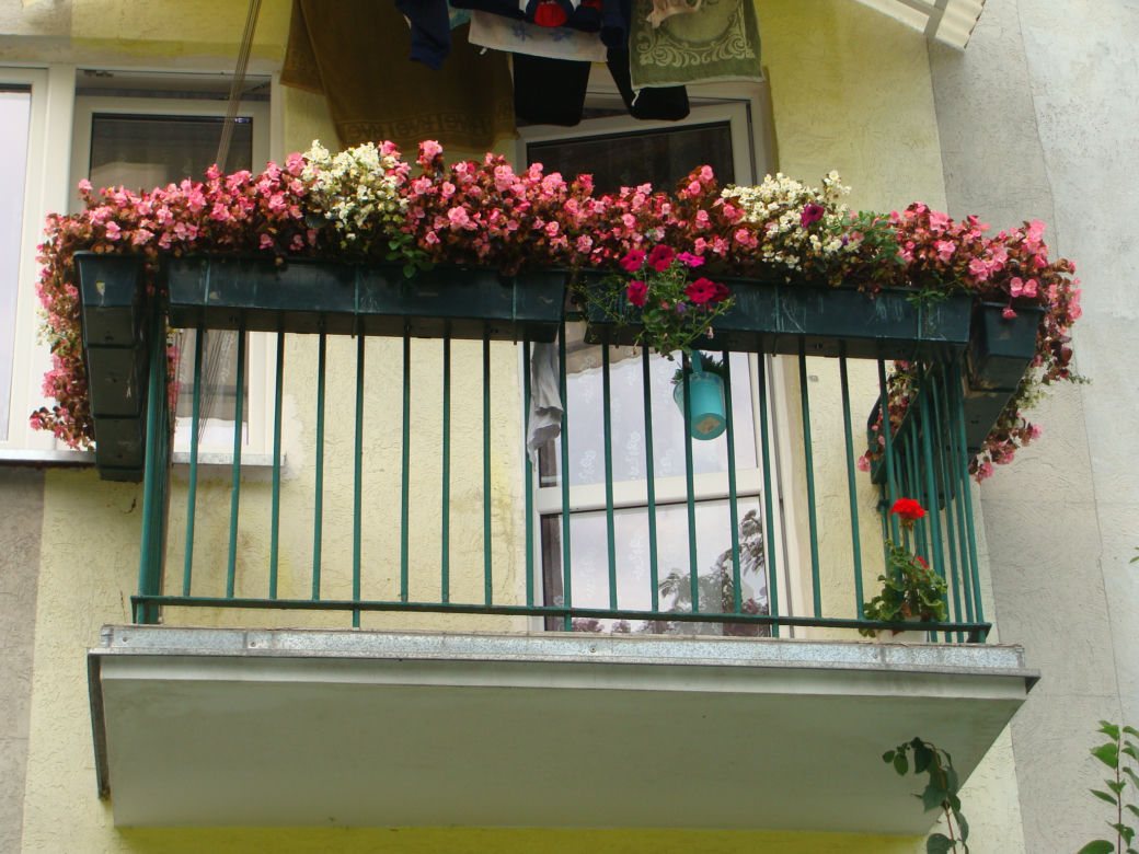 Najpiękniejsze balkony w Starachowicach