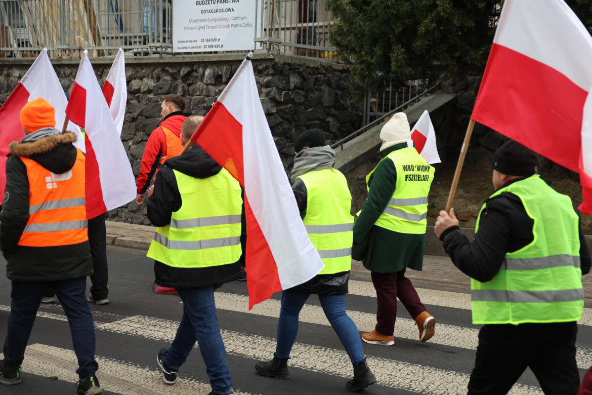 Protest rolników 20 marca w Lublinie. Przeszli ulicami miasta pod LUW