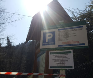 Ograniczenia w lasach. Parkingi i punkty postoju niedostępne dla turystów