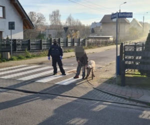 ŚWINIA z Wejherowa DONIOSŁA na właściciela