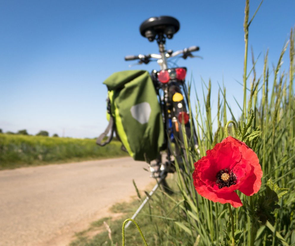 Pasjonat kolarstwa zowu w akcji! Przejechał już 1800 km promując krwiodawstwo!