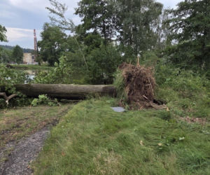 Krajobraz jak po apokalipsie. Wichura zniszczyła gminę Mysłakowice w kilkanaście minut