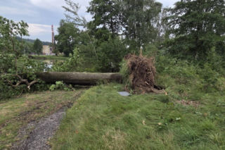 Krajobraz jak po apokalipsie. Wichura zniszczyła gminę Mysłakowice w kilkanaście minut