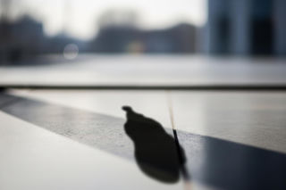 Klaudia K. w sądzie. Chciałam tylko nastraszyć – czy to wystarczy na uniknięcie dożywocia?