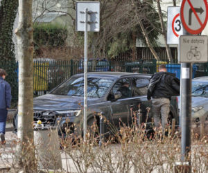 Tomasz Karolak parkuje jak król na włościach
