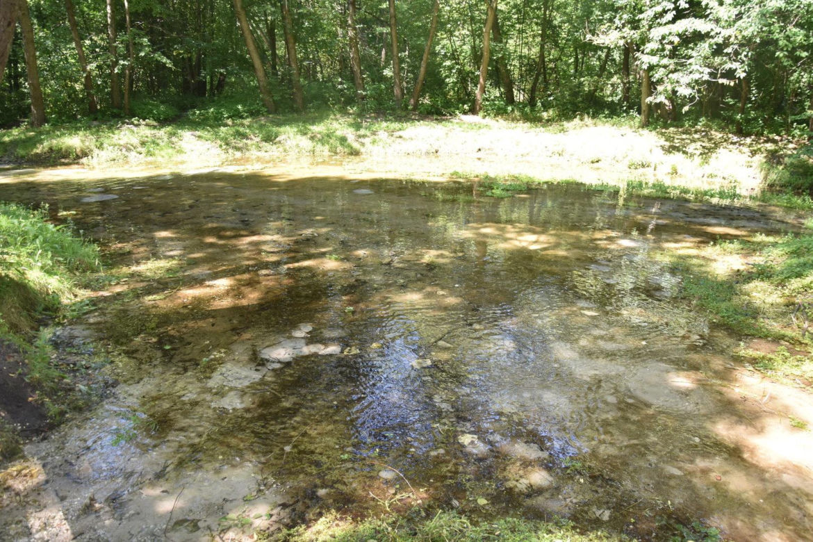 źródliska łany