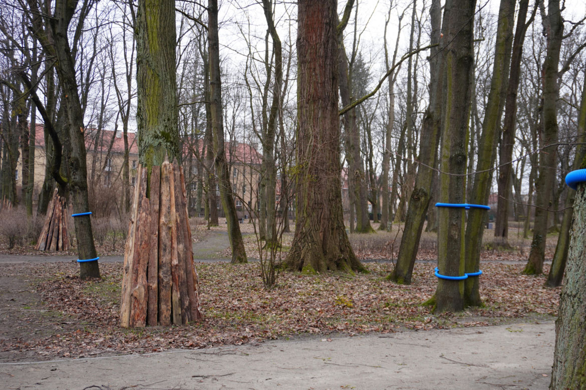 Przebudowa Parku Planty w Białymstoku
