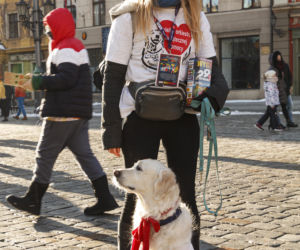 Wielka Orkiestra Świątecznej Pomocy we Wrocławiu