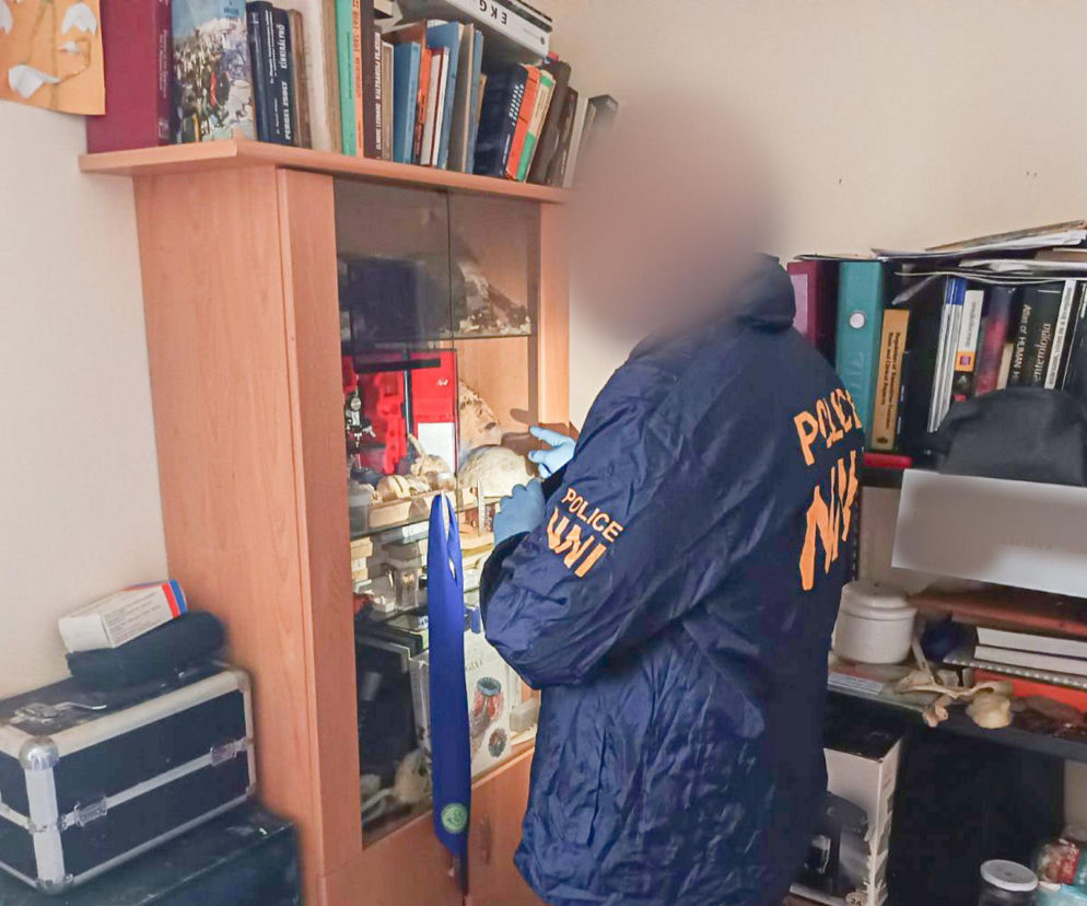 Policjant w niebieskim kombinezonie z napisem Police NNI w rękawiczkach ochronnych, bada zawartość przeszklonej szafki, prawdopodobnie w mieszkaniu 30-latka, gdzie znaleziono ludzkie szczątki. Więcej informacji o tej makabrycznej sprawie znajdziesz na naszym portalu.