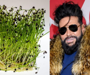 Rzeżuchy które wyglądają jak Krzysztof Rutkowski i jego legendarne fryzury