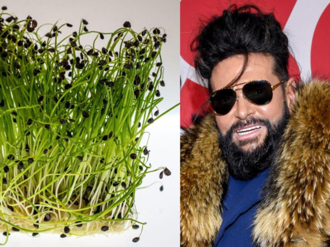 Rzeżuchy które wyglądają jak Krzysztof Rutkowski i jego legendarne fryzury